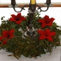 Gefilzte Weihnachtssterne
