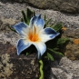 Filzbrosche in Blau und Weiß