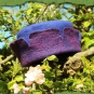 Zinnenhut in violett und blau 3