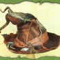 Waldhexenhut 3