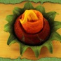 Schelmenhut Feuerblume 1