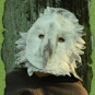 Schleiereulenmaske