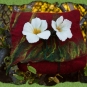 Filztasche Blumenwiese rot